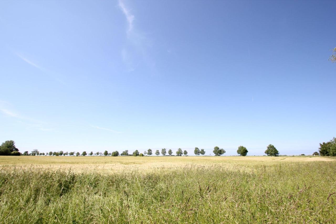 Viel Natur, Idyllische Umgebung, Ruhige Lage - Ferienpark Neddesitz Fewo 299 מראה חיצוני תמונה